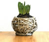 small product photo