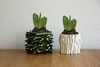 small product photo