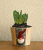 small product photo
