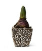 small product photo