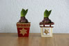 small product photo