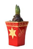 small product photo